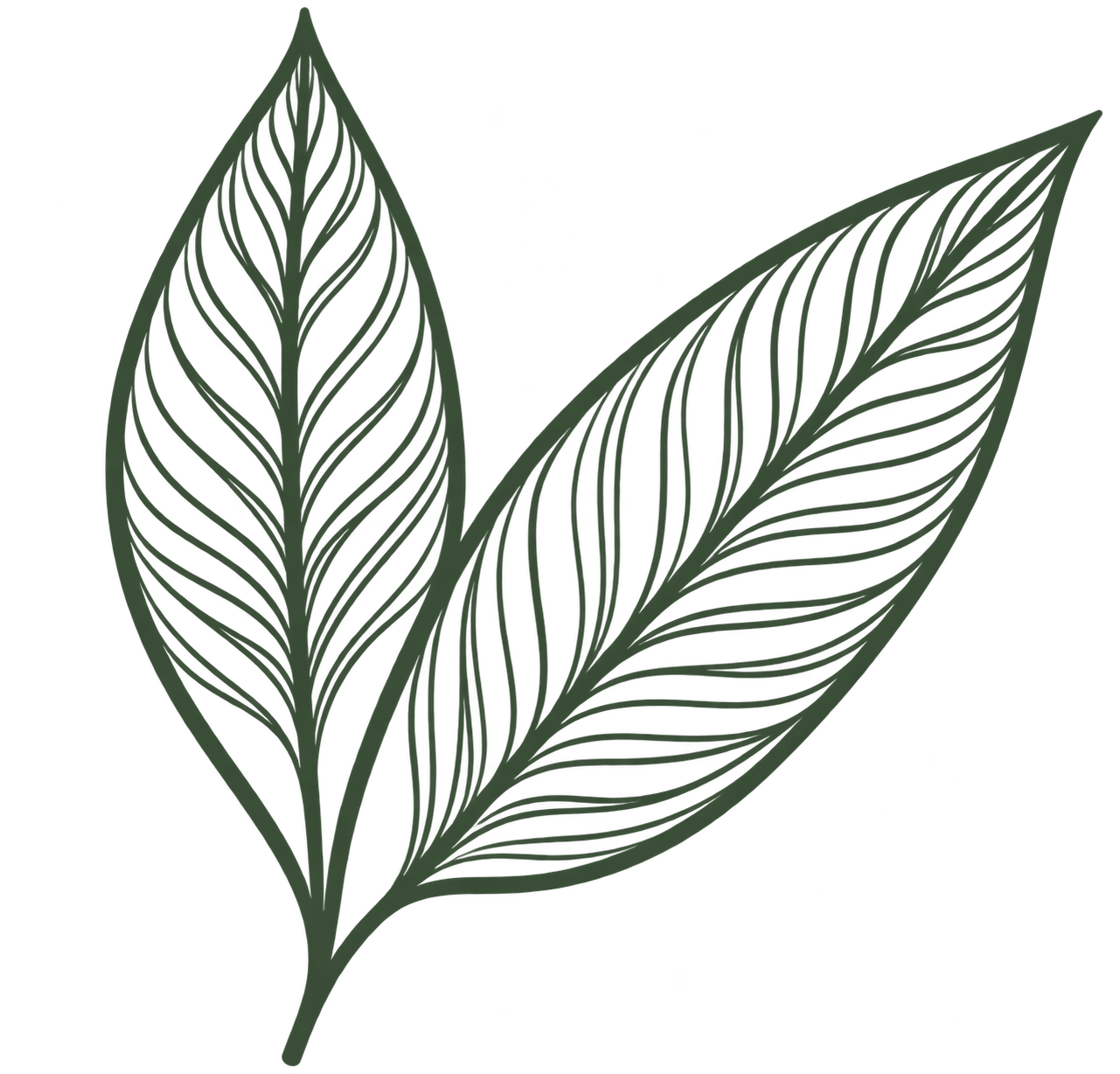 Leaves Logo